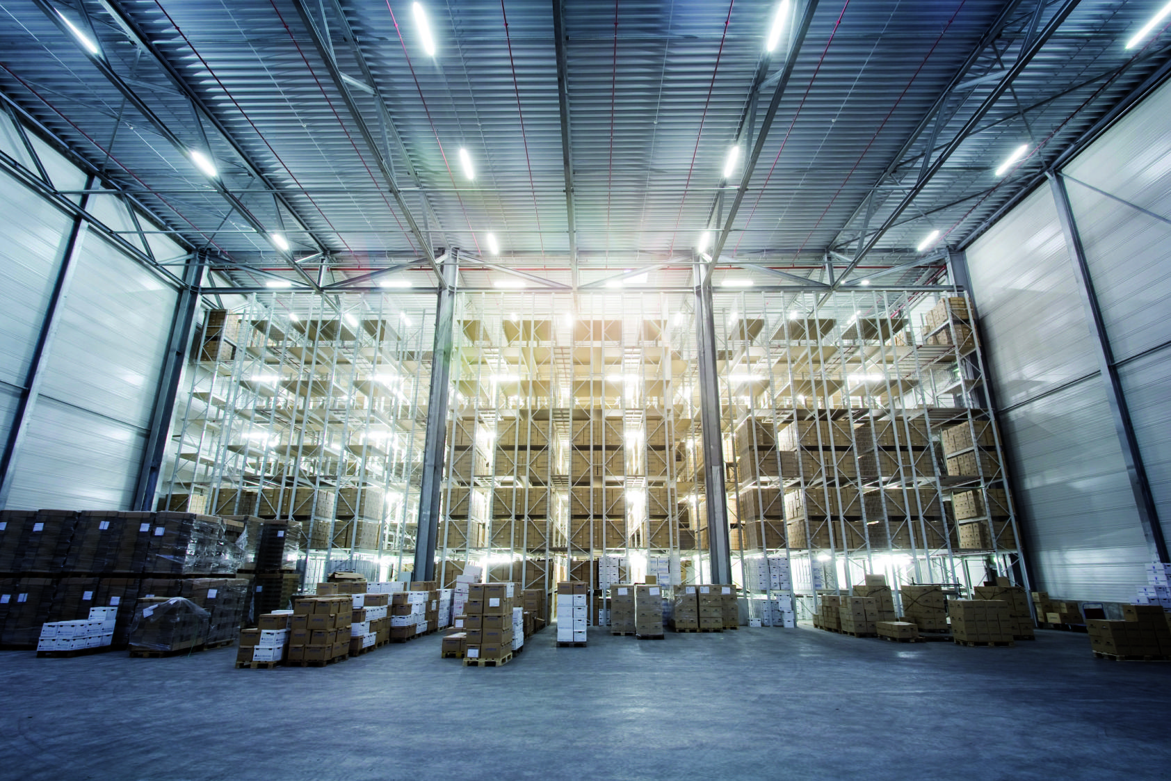 Temporary Storage and Customs Warehousing